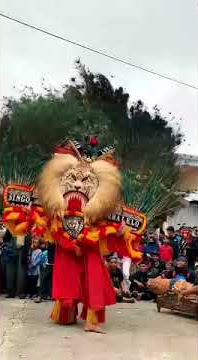 Story wa Reog Dadak Merak Gelo