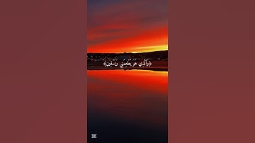 سورة الشعراء🤍 #قرآن #المصحف #قران_كريم #ناصر_القطامي #العرب #ناصر_القطامي #قرآن #سورة_الشعراء