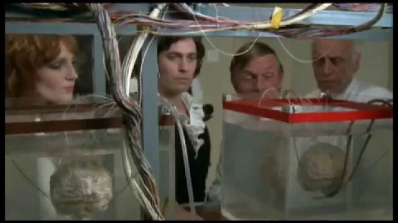 Brandon's Cult Movie Reviews: THE FINAL PROGRAMME