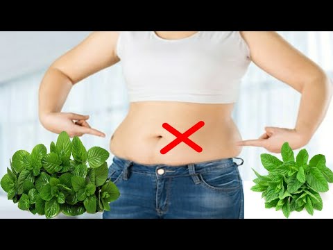Day11 Mcdonalds Carnivore Diet Mcdonalds Carnivoreketo Highfatdiet Food Ketodiet Music