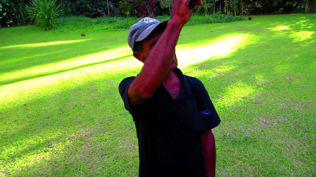 Peter ToPawa Joe - Talking with Birds encounter