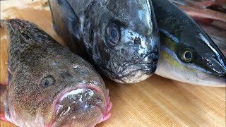 『変な魚』の詰め合わせが届いたので捌いてみた。