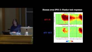 Celebrity Neural Network Dynamics for Attentional Selection in the Primate Brain Profile