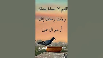 #دعاء_مستجاب #حمزة_بوديب #القارئ_حمزة_بوديب #اكسبلور #قران_كريم  يارب استجب دعاء ❤️