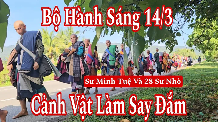 Bộ hành sáng 14/3 sư Minh Tuệ và 28 sư nhỏ cảnh vật rất nên thơ làm say đắm