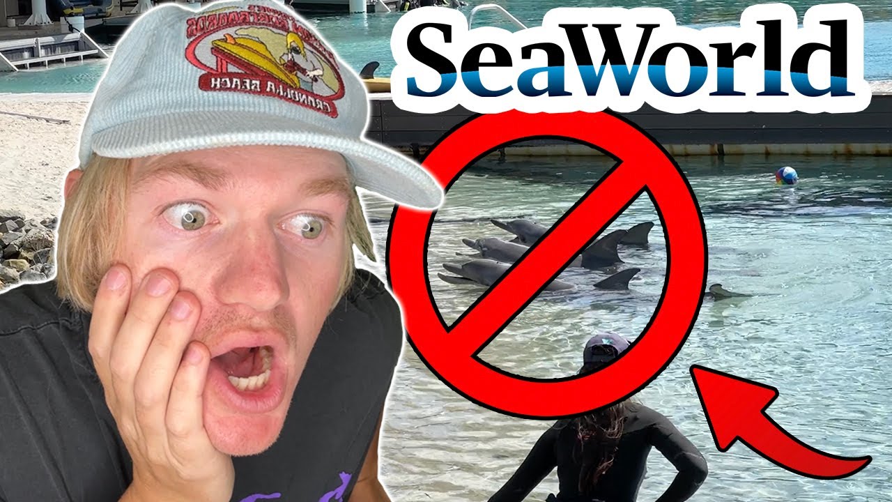 Does SeaWorld REALLY Treat The Animals Bad YouTube Does SeaWorld REALLY Treat The Animals Bad YouTube