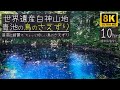 白神山地【8K映像 鳥のさえずり10時間】神秘の青池: 日本の自然が作る奇跡と癒しの世界遺産 珍しい鳴き声で綺麗にさえずる野鳥達　■途中広告なし■　作業のお供に聴いてみて下さい。