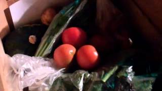 Week 15 of Edible Earth Farm's 2012 CSA