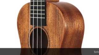 Enya Mahogany Concert Ukulele Euc-M1 - Product Video