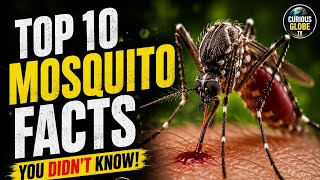 Top 10 Mosquito Facts That Will Shock You 😱 #top10 #facts #mosquito 