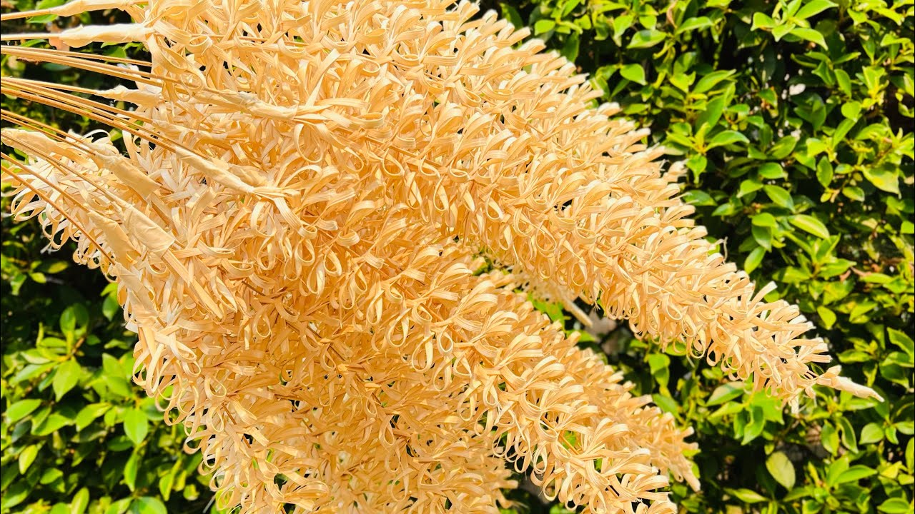 แจกเทคนิคสานดอกกล้วยไม้ จากตอกไม้ไผ่