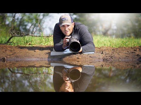 I Built a WILDLIFE Pond for BIRD Photography