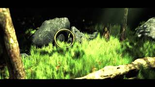 observance [teaser]