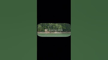 🌿 قرأن كريم 🌿 سورة الانعام 🌿 محمد ايوب رحمة الله عليه 🌿