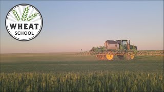 Wheat School: The importance of knowing water quality and how to troubleshoot it