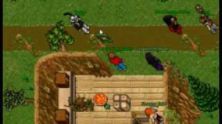 Real Tibia Bug 8.31 Net Worth