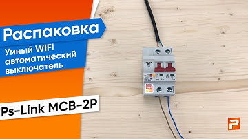 Умный WIFI автоматический выключатель Ps-Link MCB-2P
