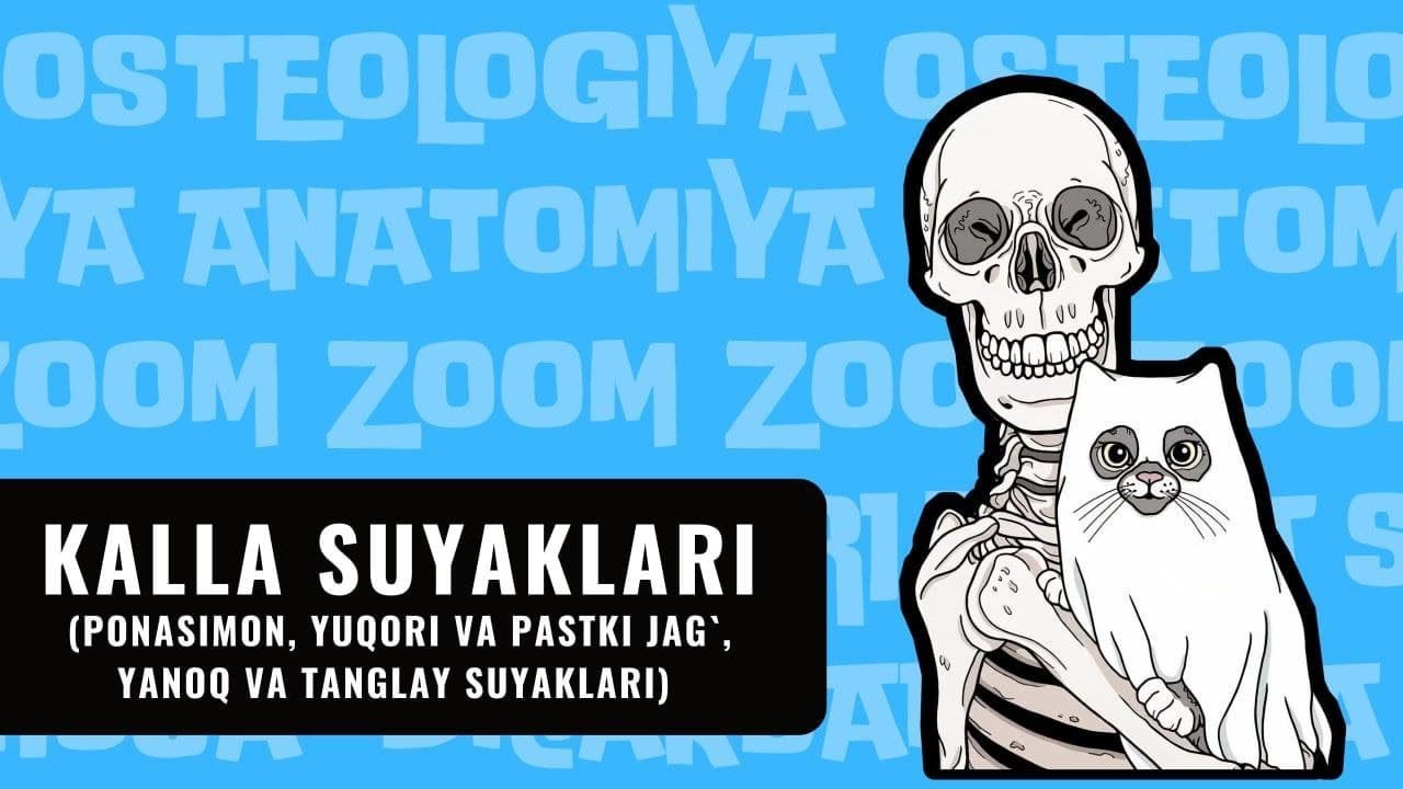 KALLA SUYAKLARI | PONASIMON, YUQORI VA PASTKI JAG`,  YANOQ VA TANGLAYSUYAKLARI (ZOOM)
