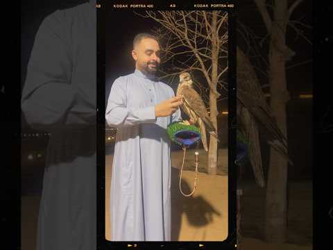 اسمع ححكيلك عن قصتى