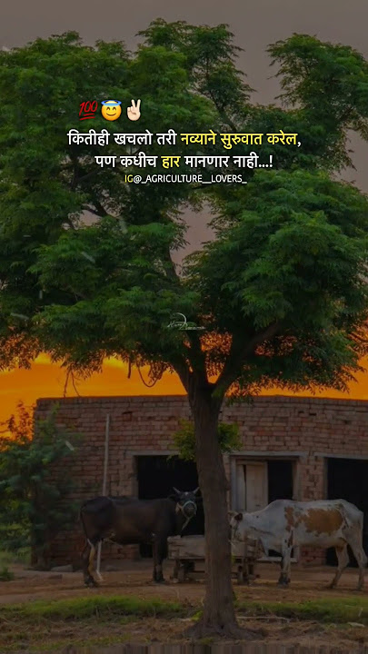 SHETKARI WHATSAPP STATUS 🌍👳‍♀️🌾🙌 #shetkari  #status #marathi #nature  #motivation #shetkari_manus