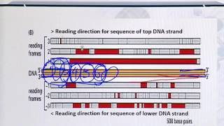 Topic 115 (BIF401 - Bioinformatics I)