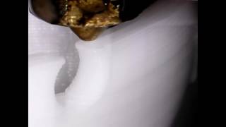 ...Another Benchy... For Science! (Microscope Time Lapse) @inventimark