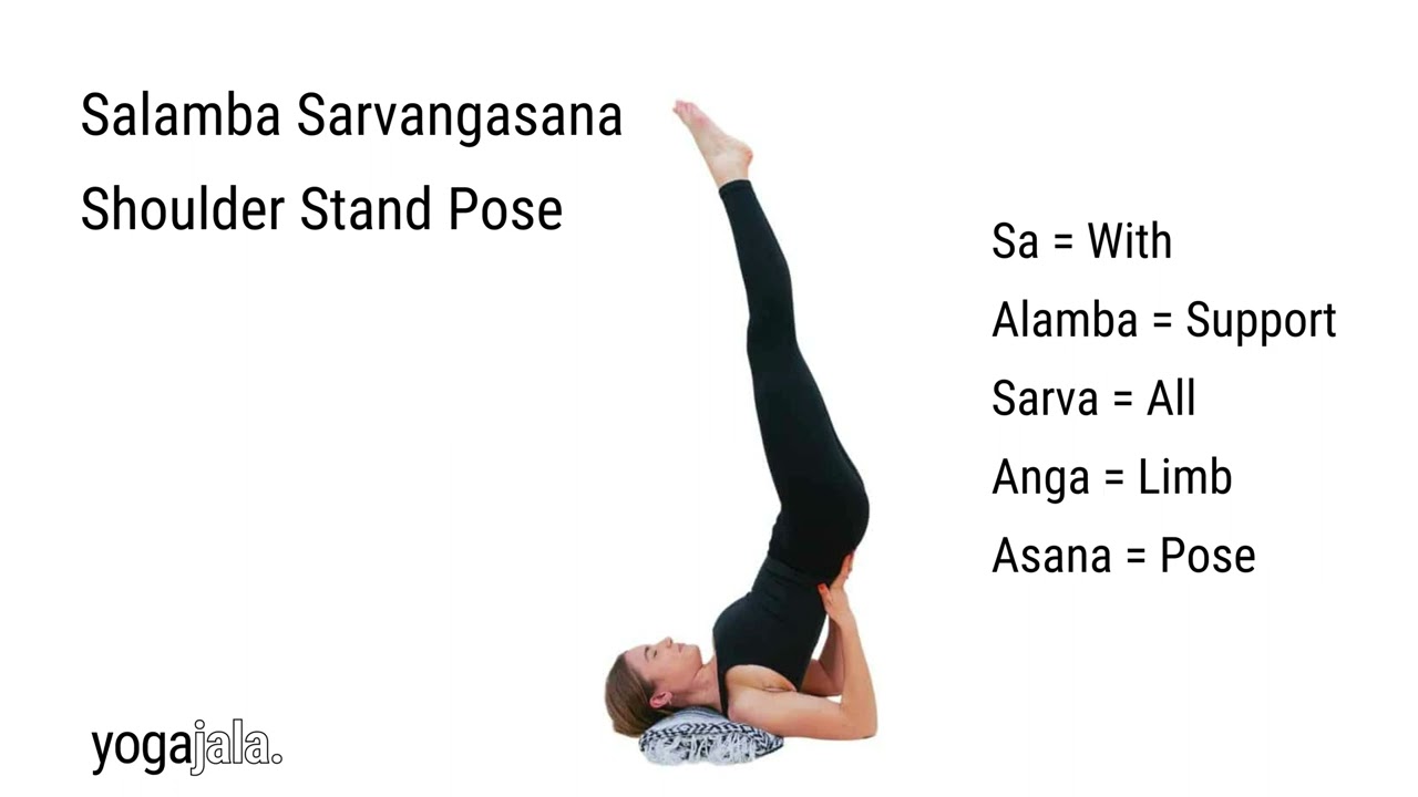 12 Major Sarvangasana (Shoulder Stand) Benefits That You Should Know!