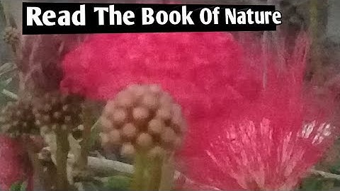 OBSERVATIONS  : Part 1 : It