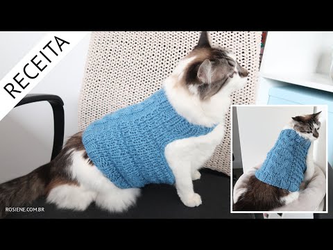 Vídeo: Como Tricotar Um Cobertor Para Um Gato