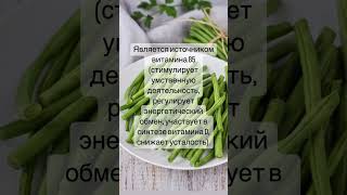 Польза стручковой фасоли