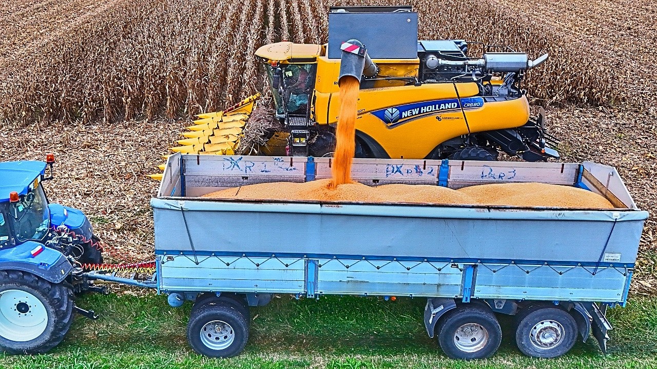 Уборка кукурузы 8-рядным комбайном New Holland CR Revelation 2025 года