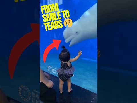 Little Girl Cries After Beluga Whale Gets Too Close