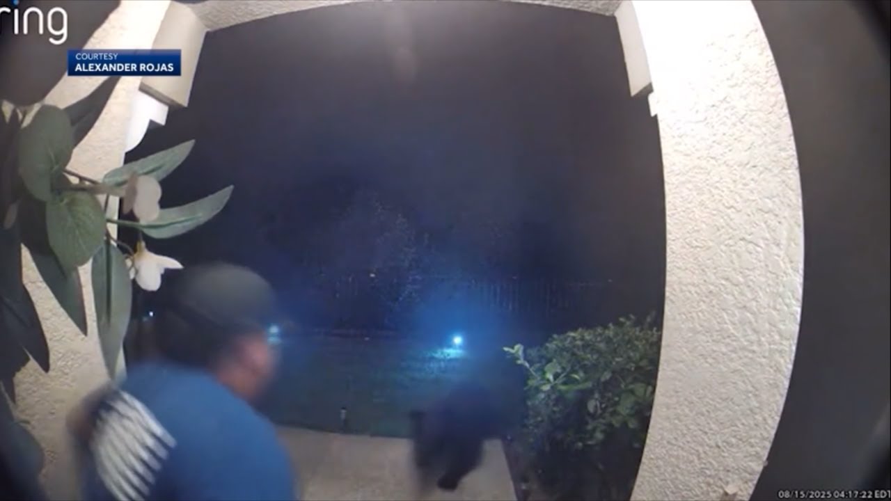 Bear sneaks up on Florida man before attacking him