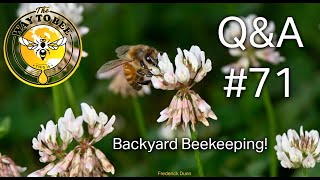 Backyard Beekeeping Questions and Answers #71 Honey Bees Discussed Q & A screenshot 4