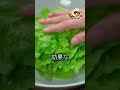 レタスを水で洗うな！あるものに5分浸けて汚れを根こそぎ落とす農家の神技！#レタスの洗い方#ライフハック#おすすめ#生活の知恵#暮らしの知恵