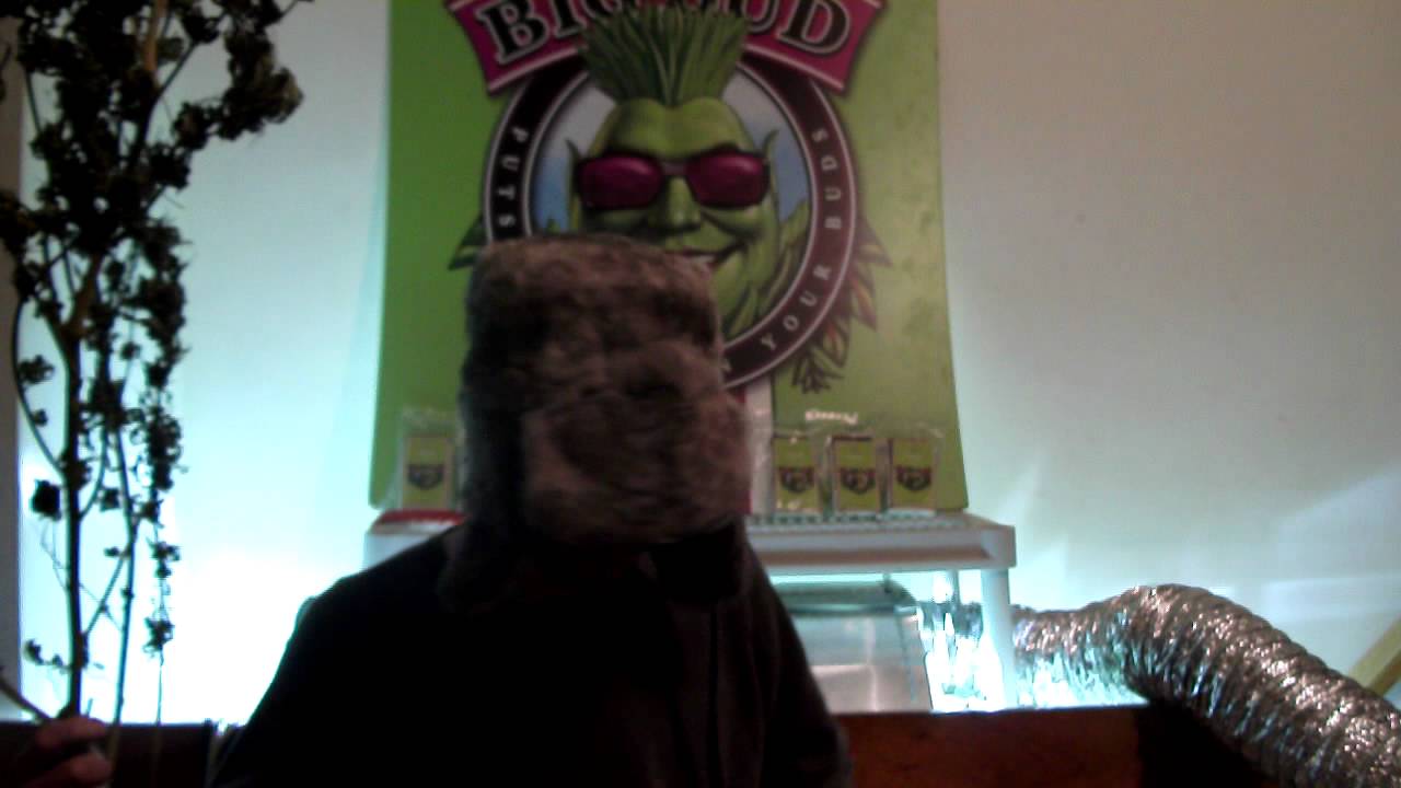 Ganja Creator TV Episode 004:Pink Hash Making