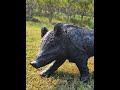 Ultra-realistic 3D animal targets #archery #outdoors #archary #bowhunting #archerytarget #hunting