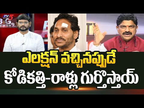 BJP Nagabushanam SHOCKING Reaction On CM Jagan Incident STONE Incident | AP Elections 2024 | TV5 - TV5NEWS