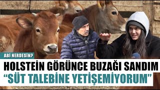 Holstein İnek Görünce Buzağı Sandım! Fenomen Çoban Süt Talebine Yetişemiyor | Abi Nerdesin?