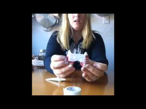 Getting Ruby My Yorkie S Ears To Stand Without Taping Youtube