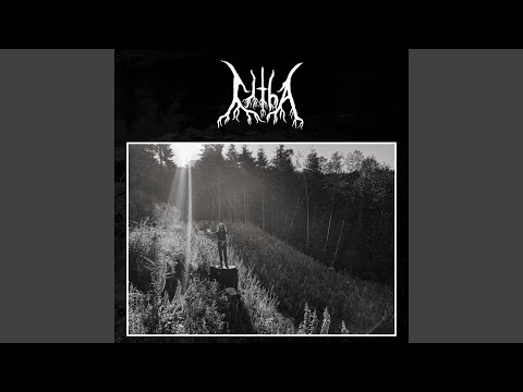 Litha (4) — Thirst