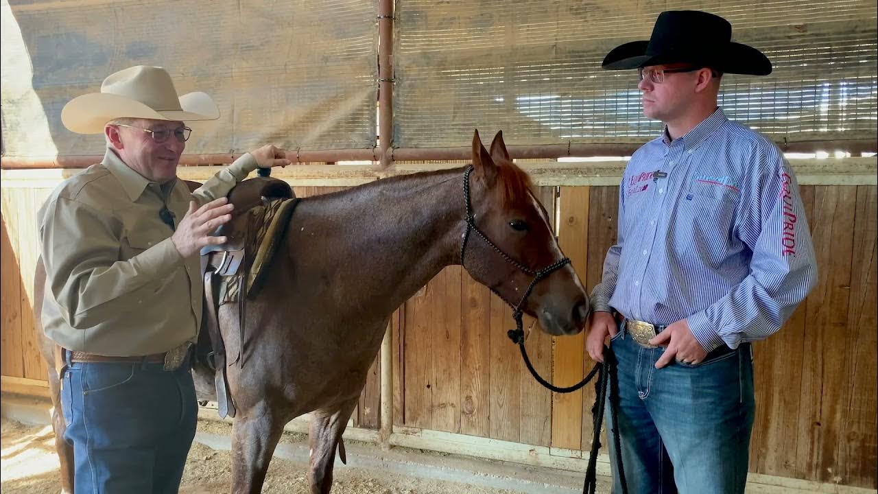 Clovis Horse Sales February Sale YouTube