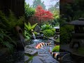 #reels #relaxing #relaxation #shortvideo #video #sleepmusic #relaxingpiano