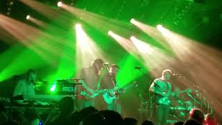 Spafford w Brock - Salamander Song