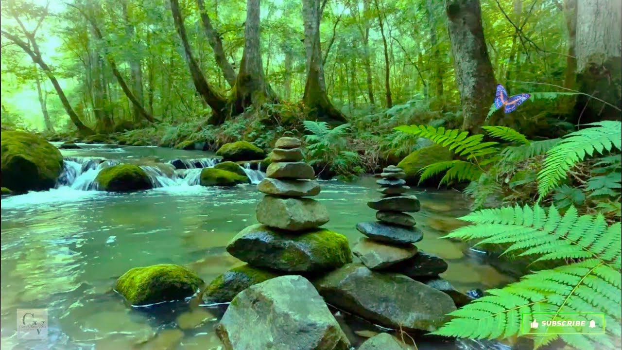 Waterfall sounds relaxing nature video. Relaxing Sound of Lapping Water - Nature Relaxation #70