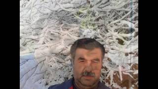 Hüsamettin Şahin Son Durak Kara Toprak Resimi