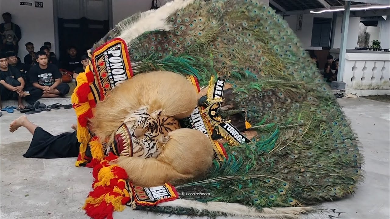 TARI REOG PALING SEREM PEMBARONG NGAMUK DADAK MERAK TERBESAR 