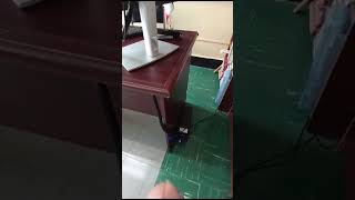 VID 20250120 WA0012