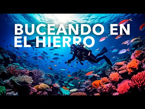 El Hierro Islas Canarias #elhierro #buceo #larestinga # #scubadiving #bucear #islascanarias #peces