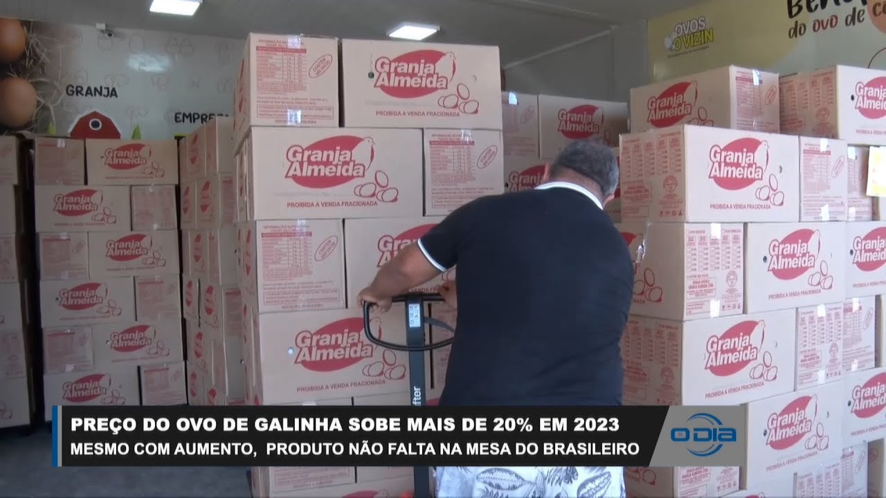 Preço do ovo de galinha sobe mais de 20% em 2023 09 08 2023